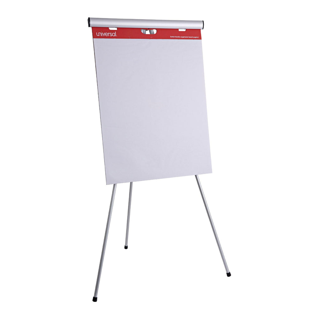 Self Stick Easel Pads, Unruled, 25 x 30, White, 30-Sheet, Case of 2 H623674