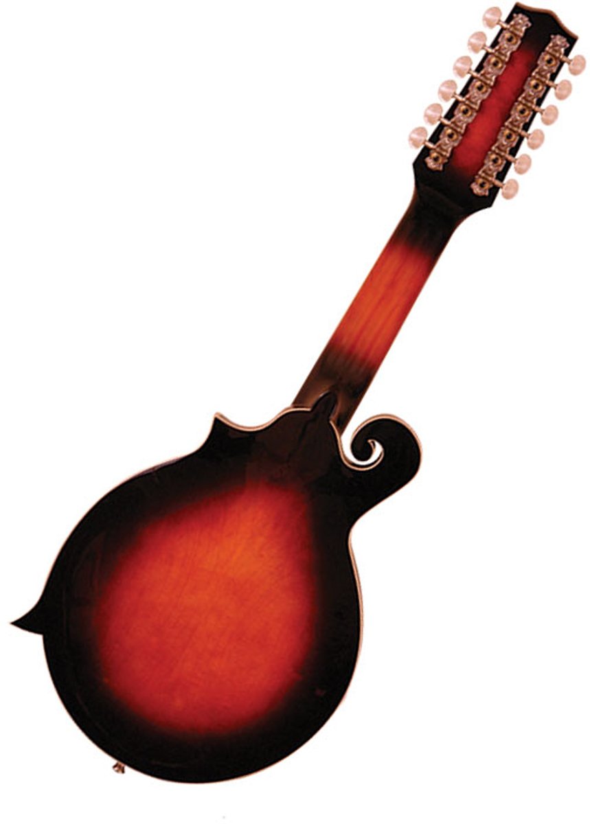 12-String Manditar with Case S82358