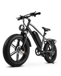 1000W Peak Electric Mountain Bike 48V 13Ah U6523