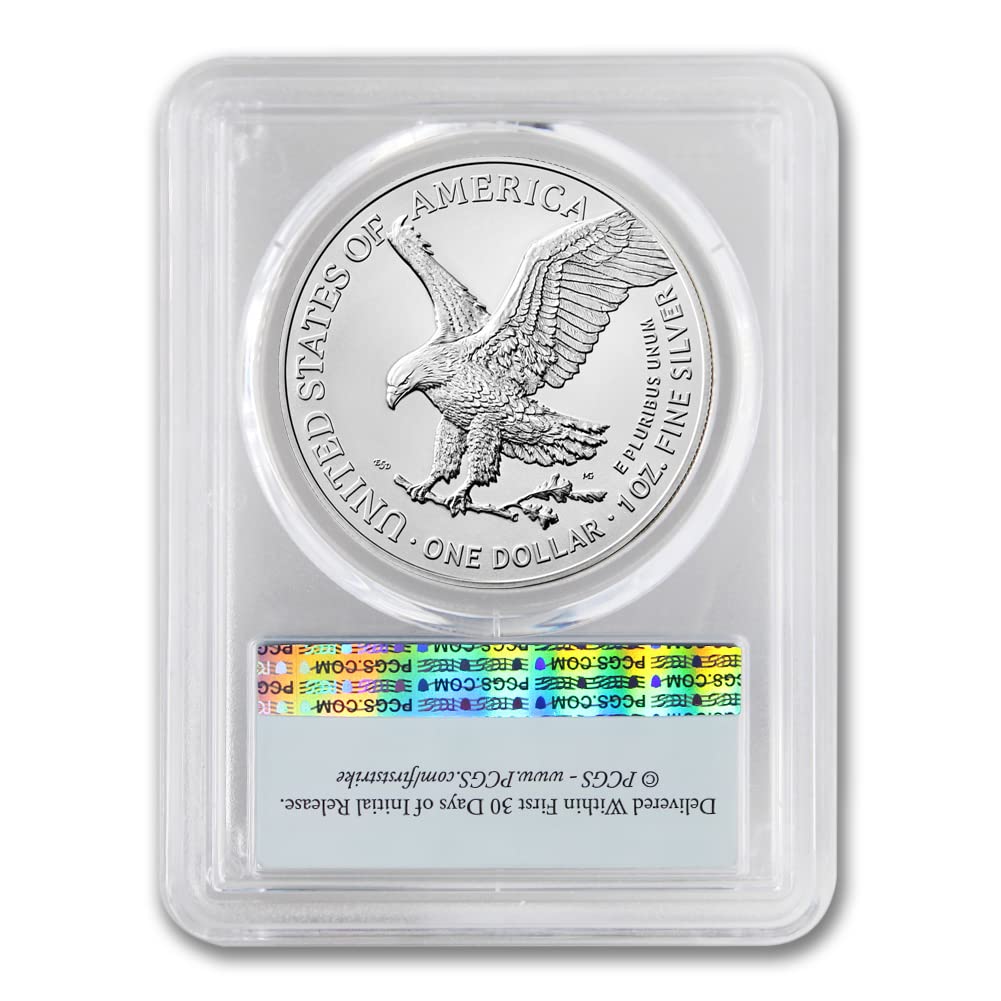 1 oz American Silver Eagle Coin MS-70 C521681