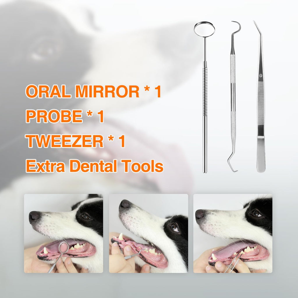 Ultrasonic Dog Plaque Remover with LED Light Y908