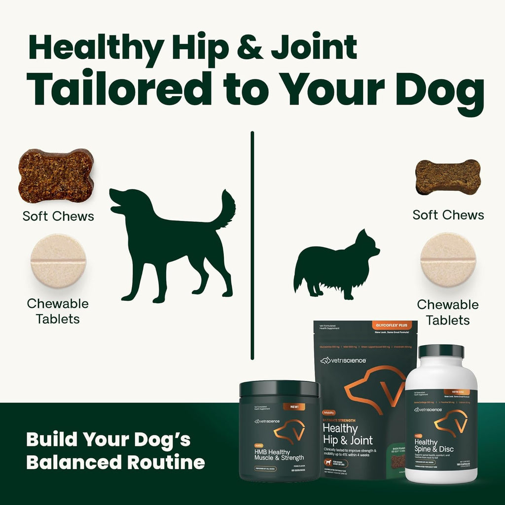 Healthy Muscle & Strength Powder for Dogs C1227