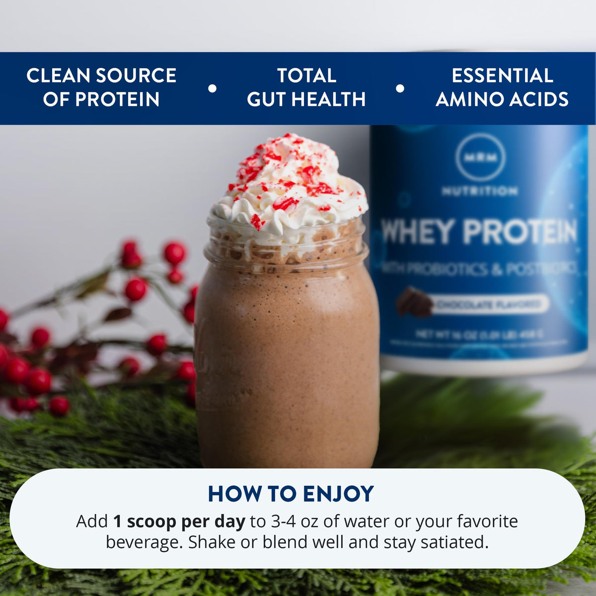 Whey Protein Chocolate 16 Servings S3238