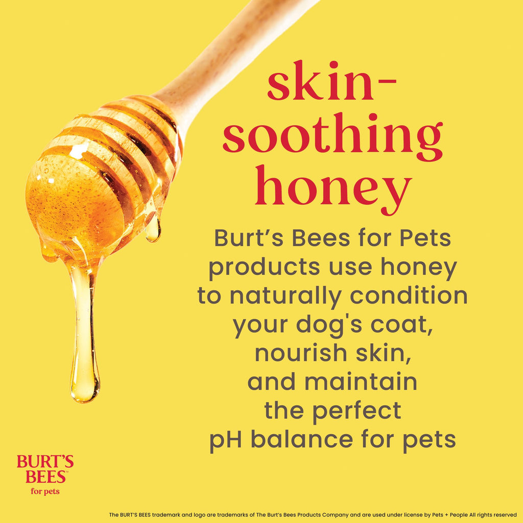 Honeysuckle Dog Shampoo 16 Fl Oz S807970