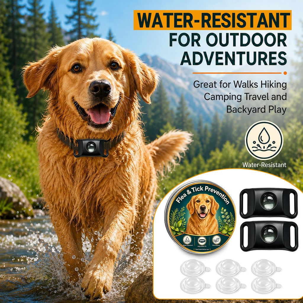Flea and Tick Prevention Pendant for Dogs N81832