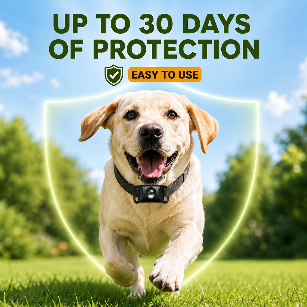 Flea and Tick Prevention Pendant for Dogs N81832