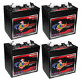 6 Volt 208Ah Deep Cycle Battery Set of 4 W456062