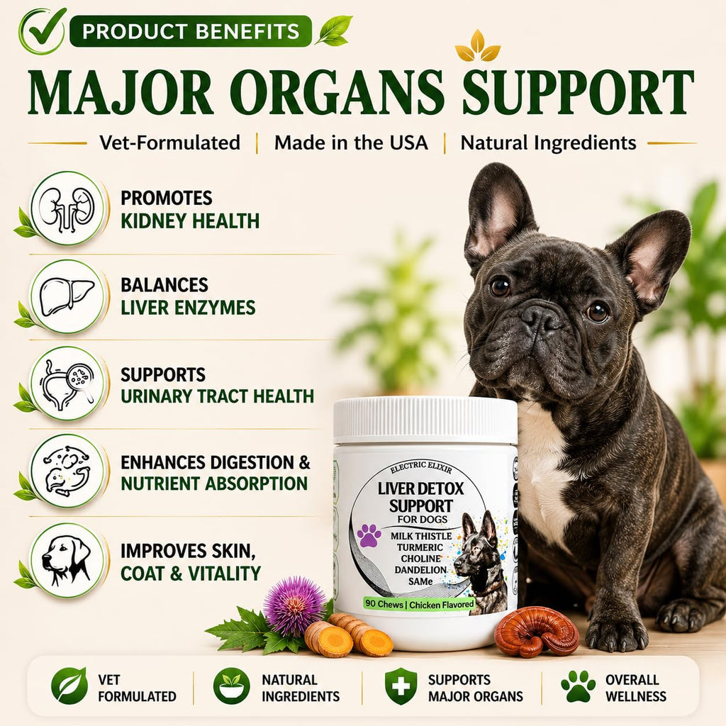 Liver Support Supplement for Dogs – Milk Thistle, Turmeric, Same & Choline – 90 Chews M524908