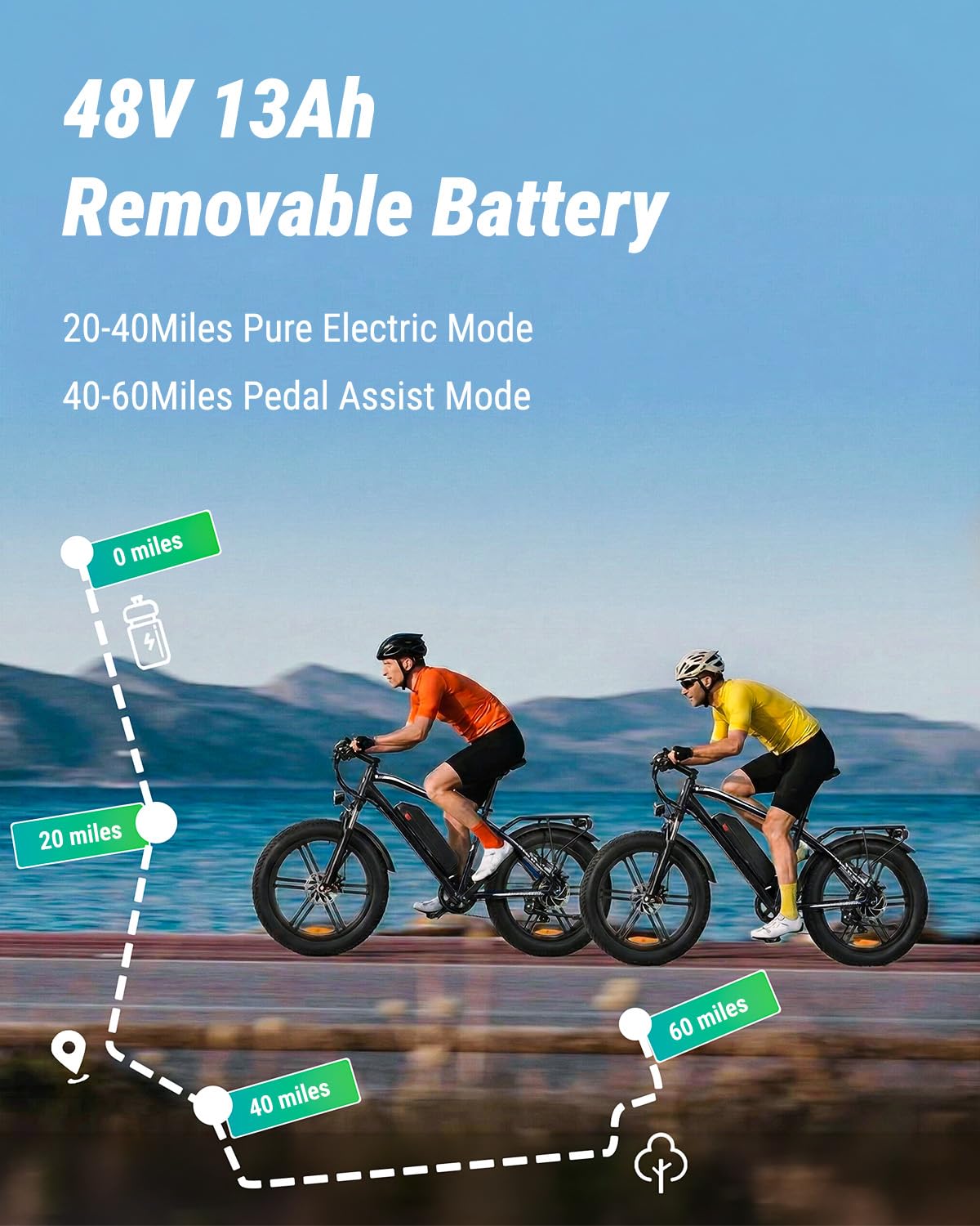 1000W Peak Electric Mountain Bike 48V 13Ah U6523