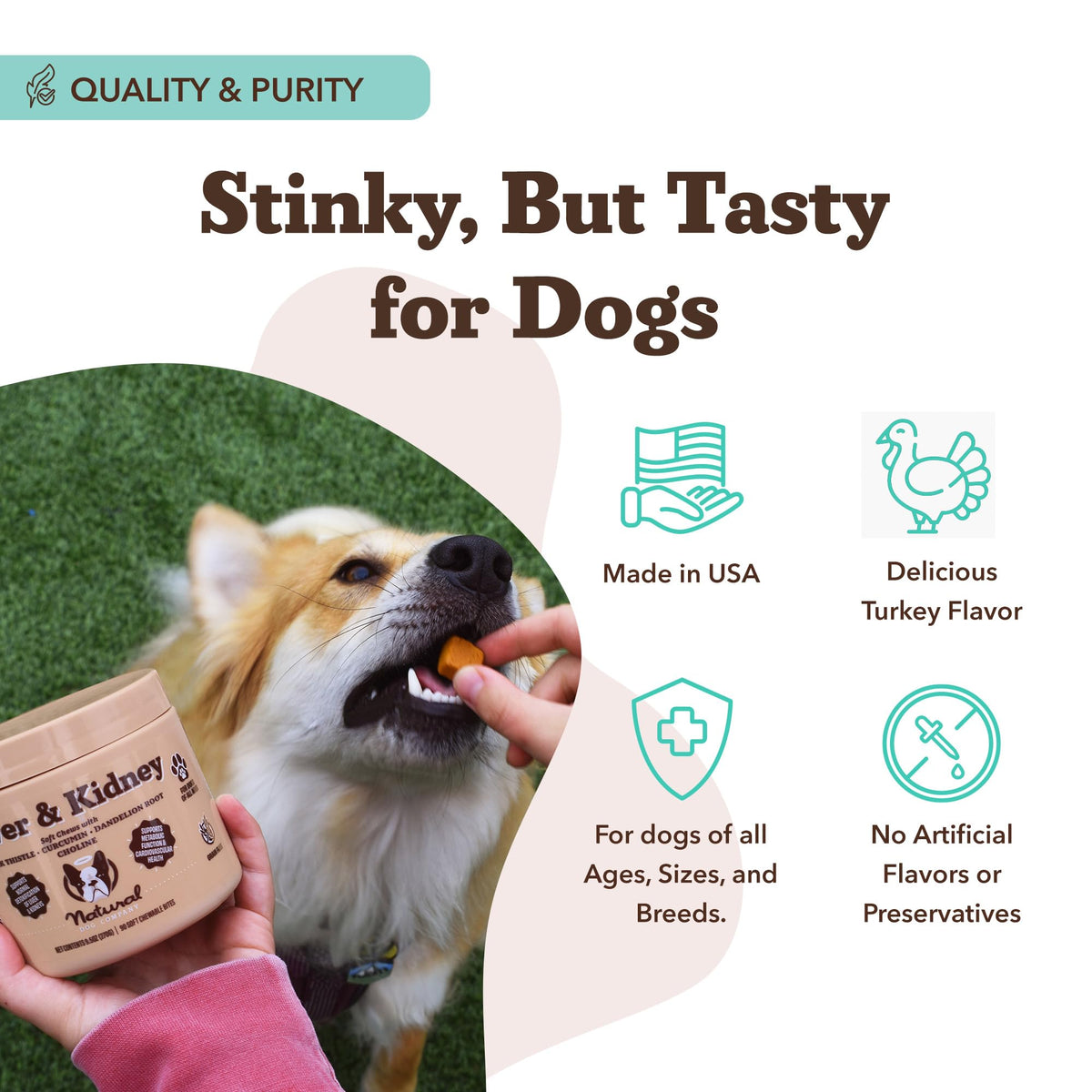Liver & Kidney Supplement for Dogs 90 Soft Chews M914