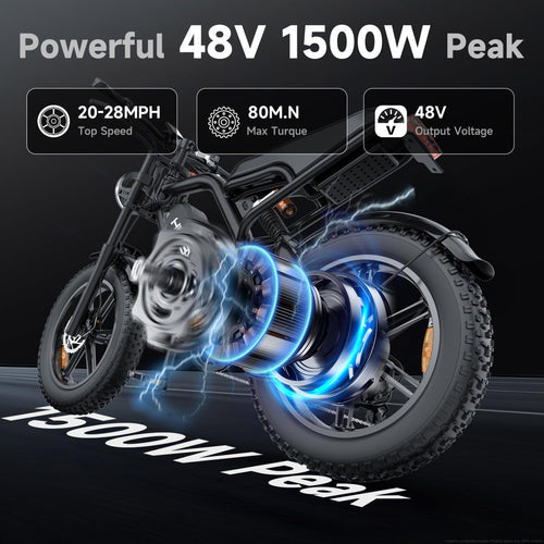 1500W Fat Tire Electric Bike J2059