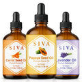 Glass Bottles with Droppers 4 Fl oz B4651