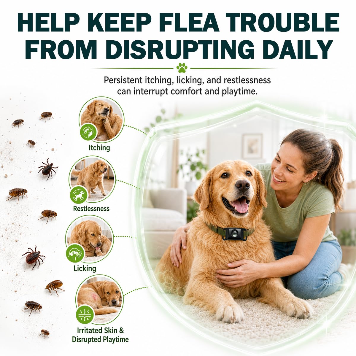 Flea and Tick Prevention Pendant for Dogs N81832