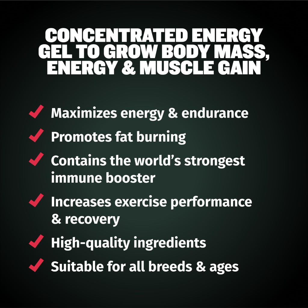 Dog Muscle & Weight Gain Liquid Bundle Y49830