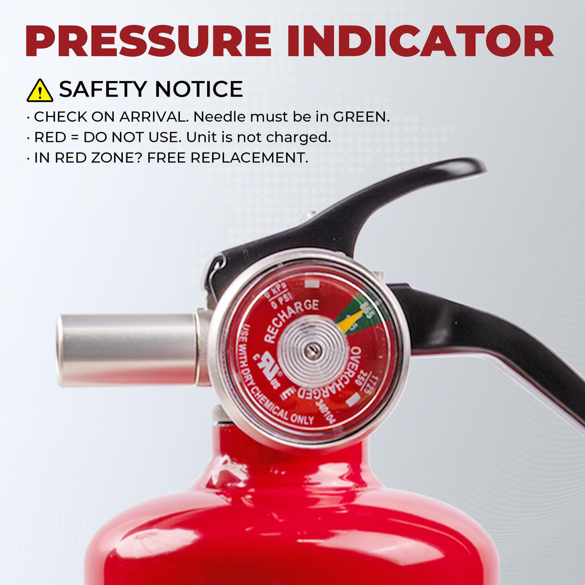 2.5 lb Heavy Duty Fire Extinguisher N160