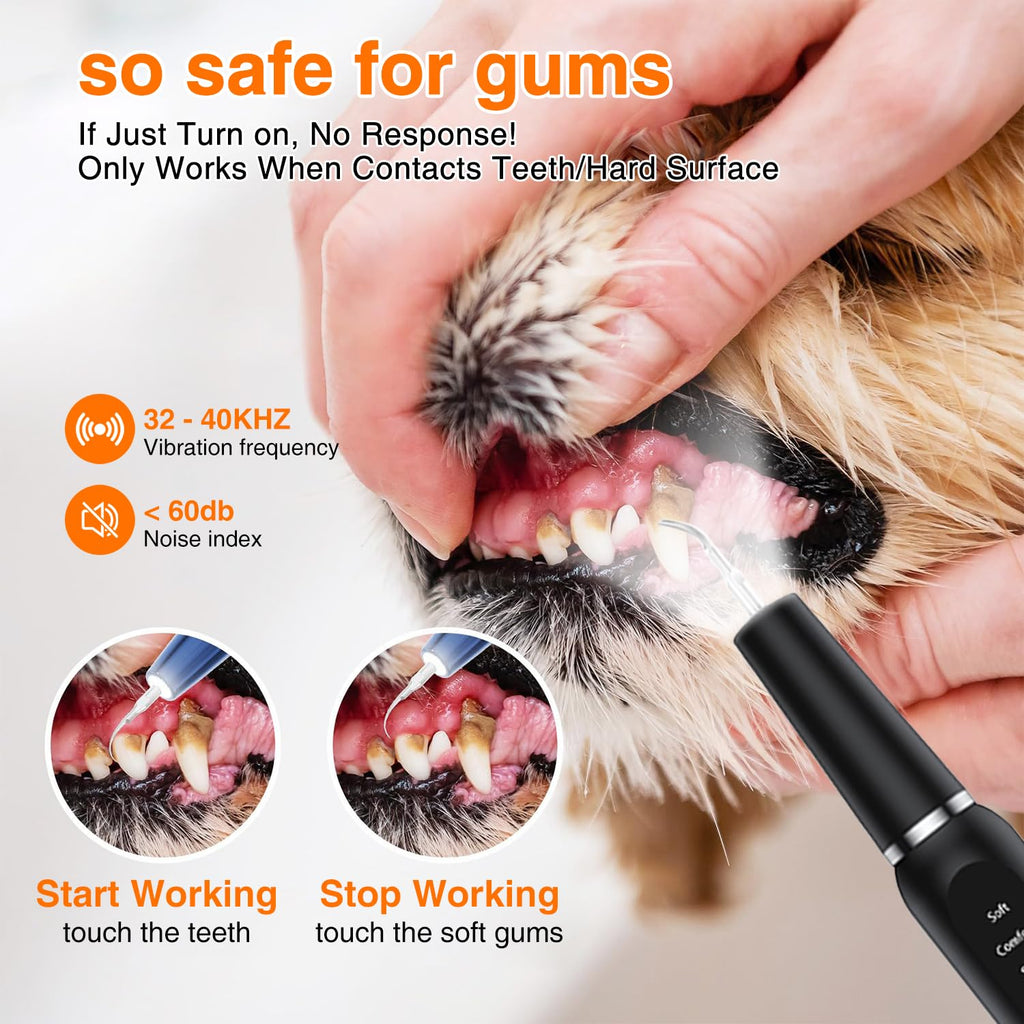 Ultrasonic Dog Plaque Remover with LED Light Y908