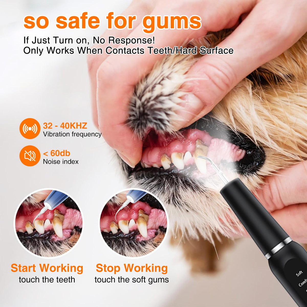 Ultrasonic Dog Plaque Remover with LED Light Y908