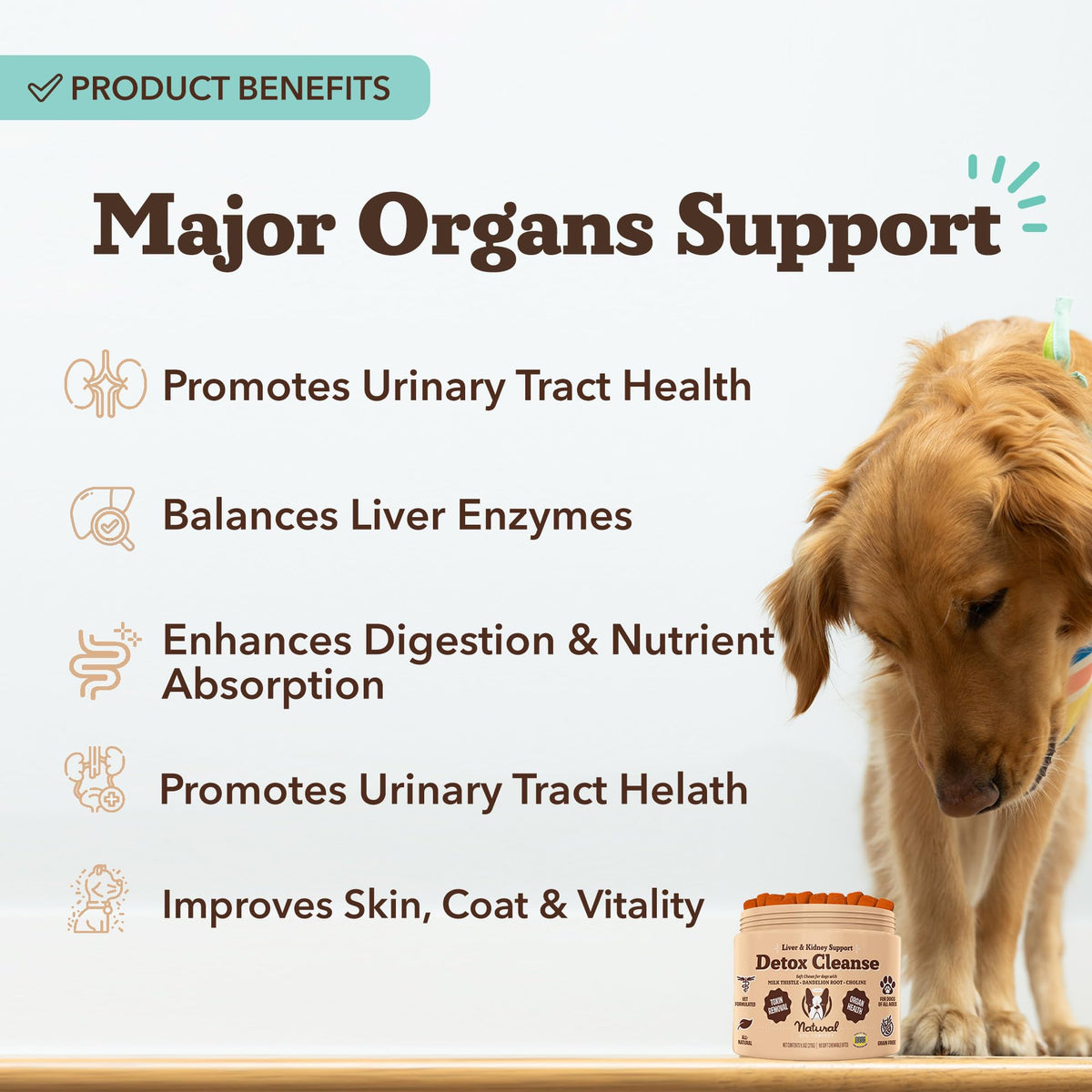 Liver & Kidney Supplement for Dogs 90 Soft Chews M914
