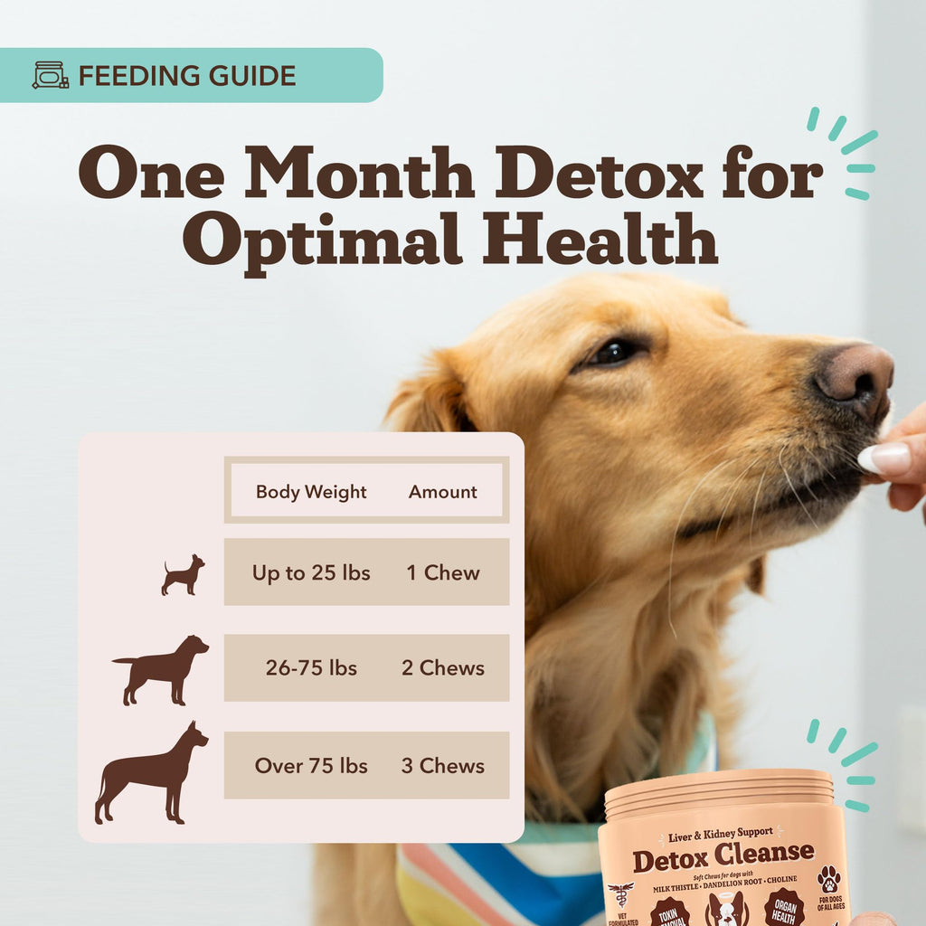 Liver & Kidney Supplement for Dogs 90 Soft Chews M914