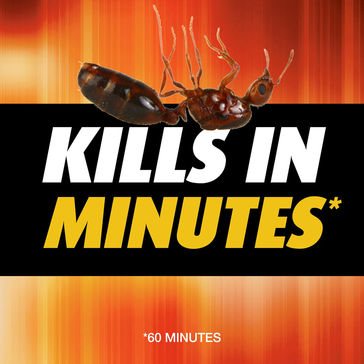 Fire Ant Killer 12 oz 2-Pack F43024