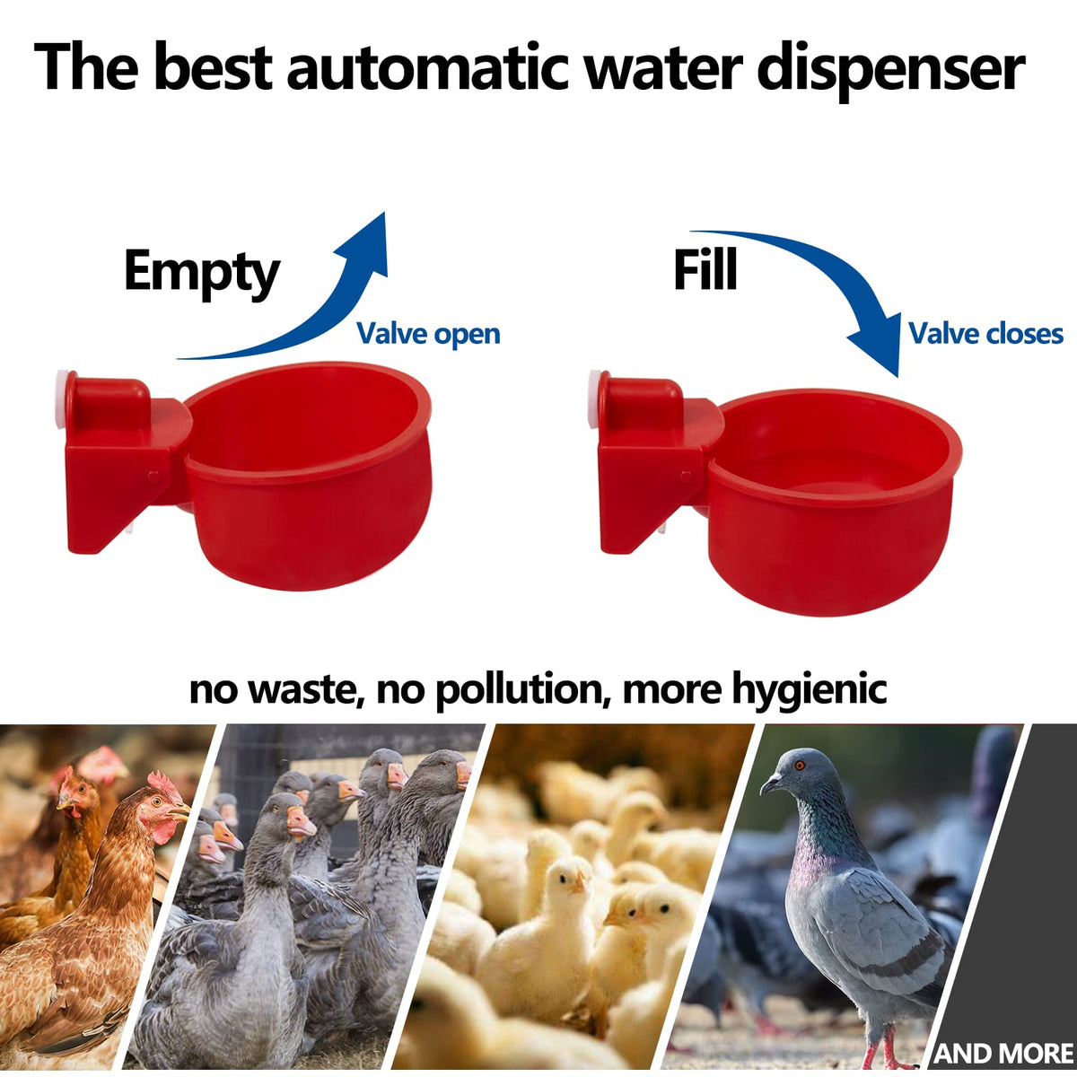 Automatic Poultry Waterer Kit 5 Gallon 12 Pack S577551