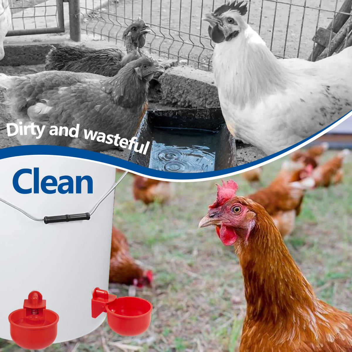Automatic Poultry Waterer Kit 5 Gallon 12 Pack S577551