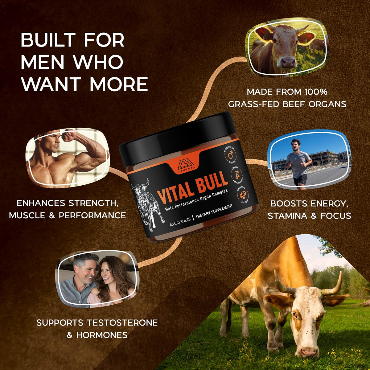 Grass Fed Beef Organ Capsules H82156
