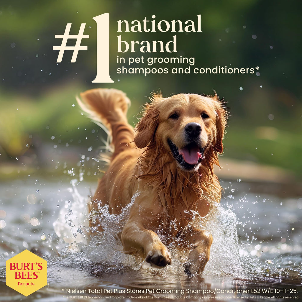 Honeysuckle Dog Shampoo 16 Fl Oz S807970