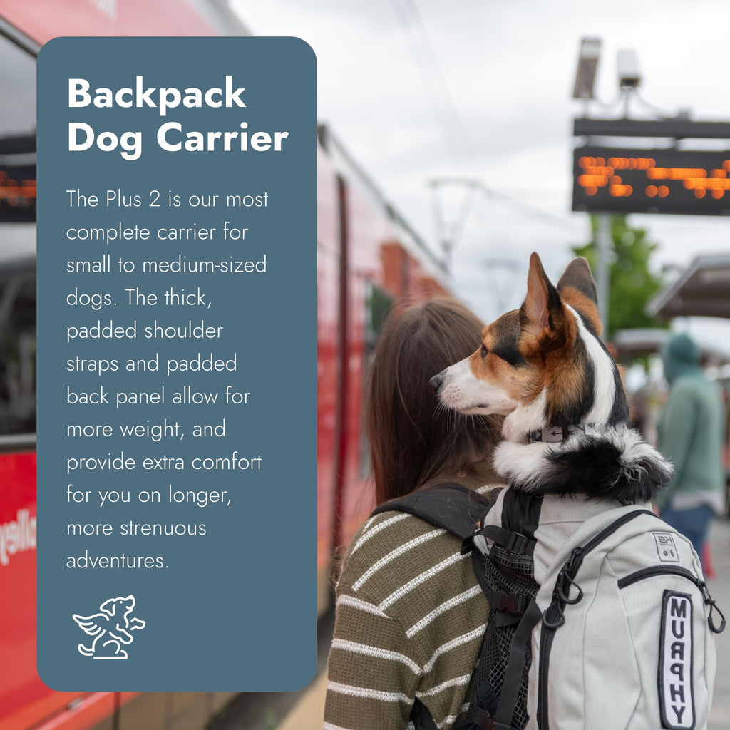 Small Light Grey Backpack-Style Dog Carrier N289