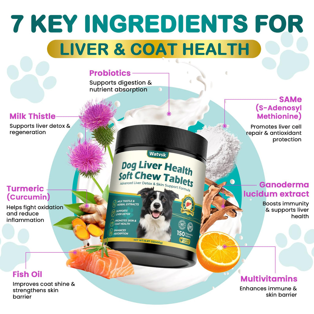 Milk Thistle Supplement for Dogs with Curcumin Choline Fish Oil Prebiotics Chicken Flavor I828