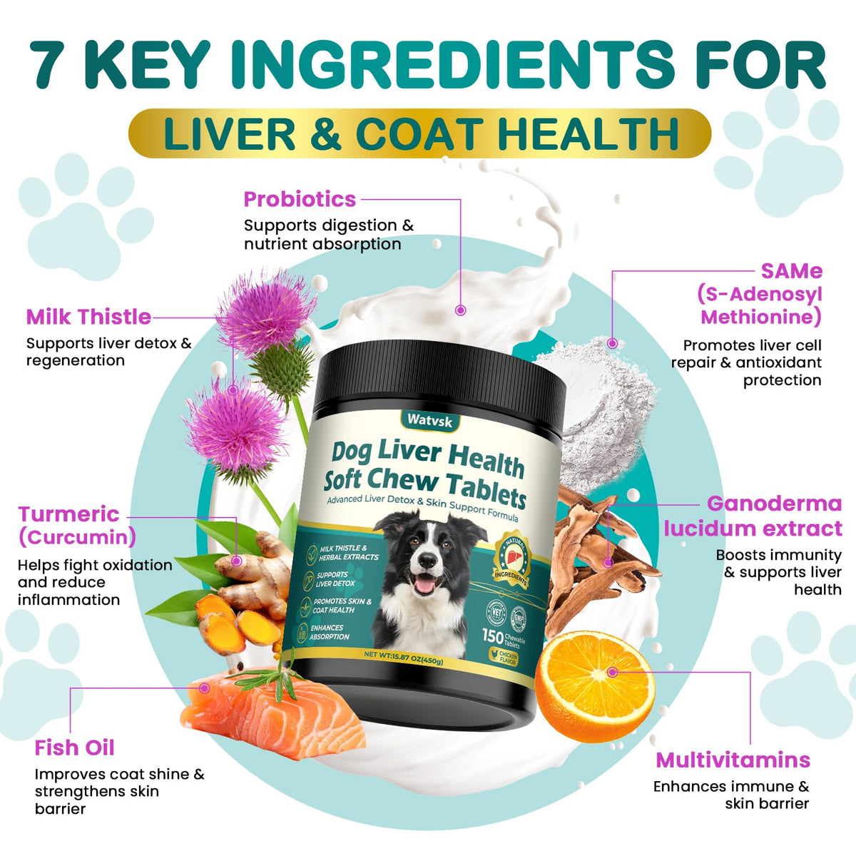 Milk Thistle Supplement for Dogs with Curcumin Choline Fish Oil Prebiotics Chicken Flavor I828