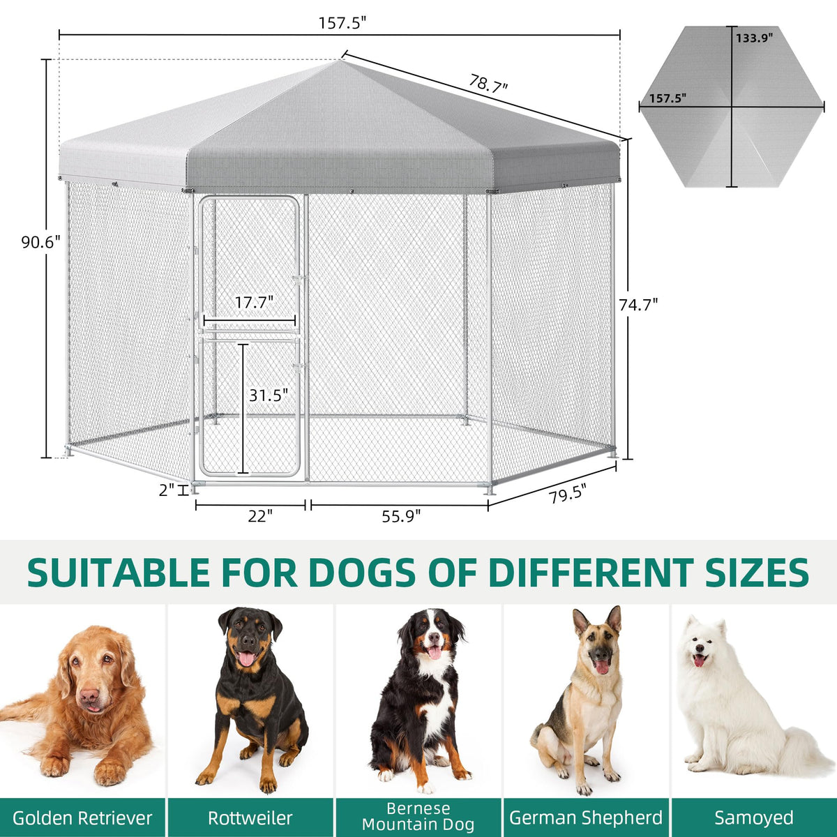 Extra Large Outdoor Dog Kennel C848