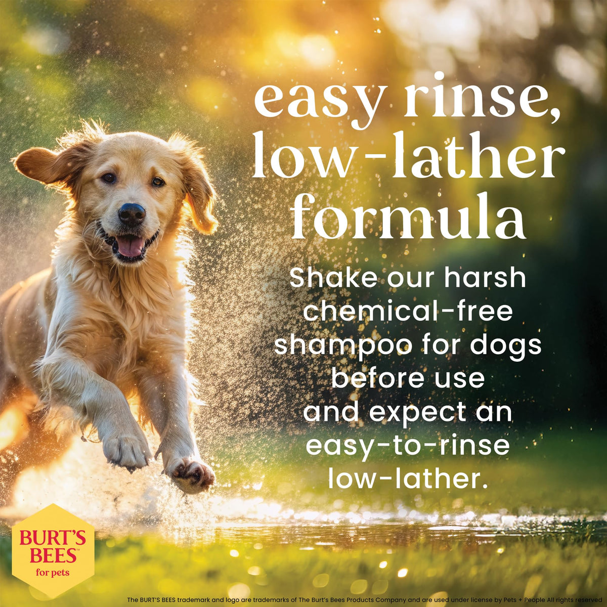 Honeysuckle Dog Shampoo 16 Fl Oz S807970