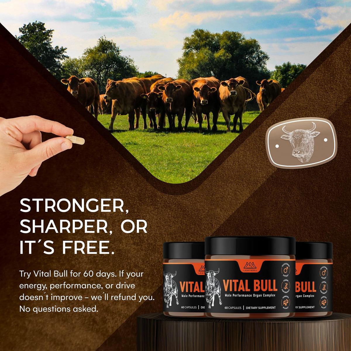 Grass Fed Beef Organ Capsules H82156