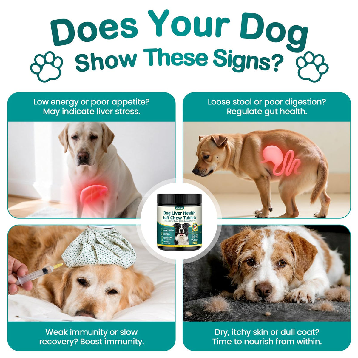 Milk Thistle Supplement for Dogs with Curcumin Choline Fish Oil Prebiotics Chicken Flavor I828