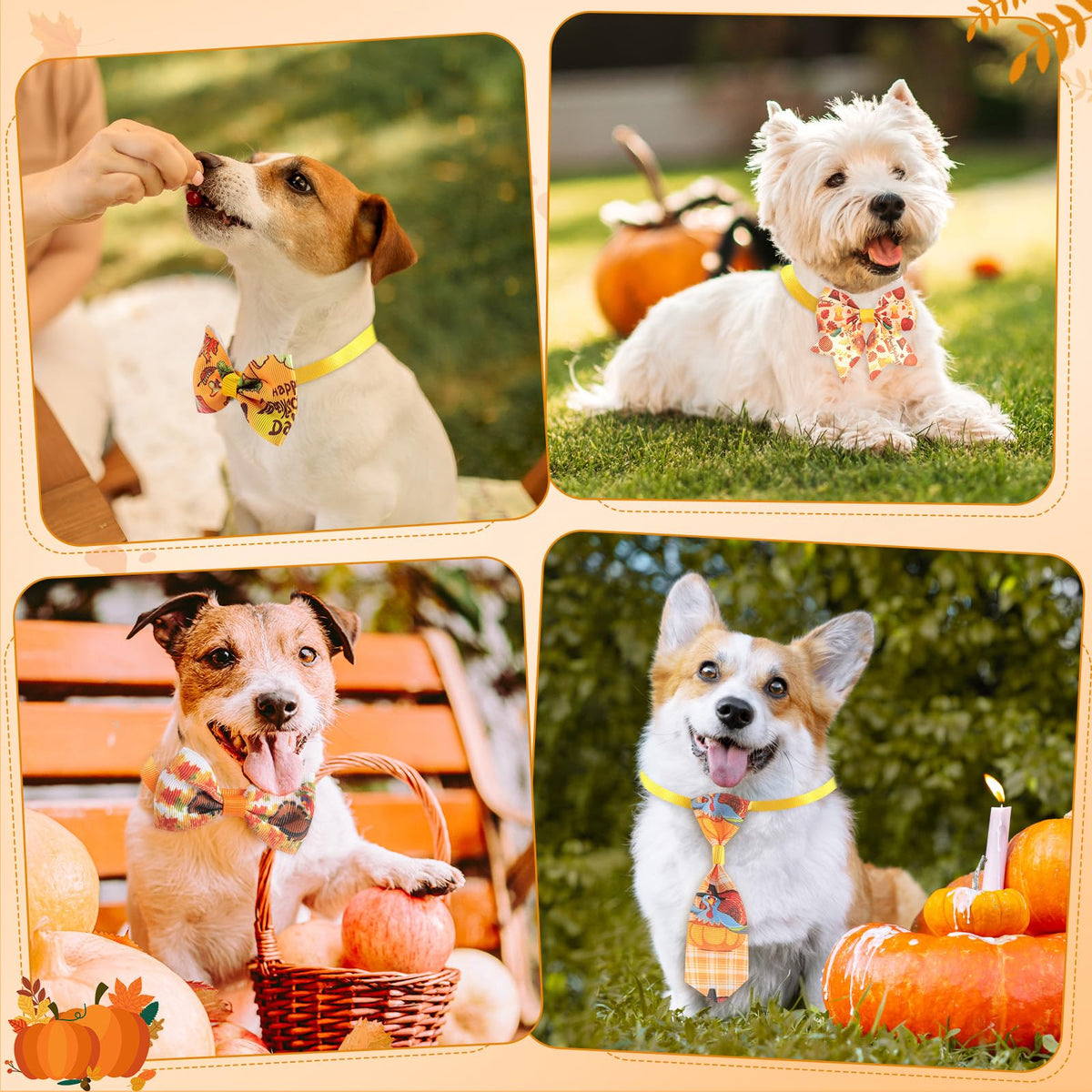 100 Pieces Fall Thanksgiving Day Dog Bow Tie Collar Set F4595