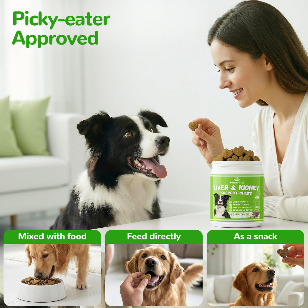 Dog Liver Support Supplement, Milk Thistle 200ct D923617