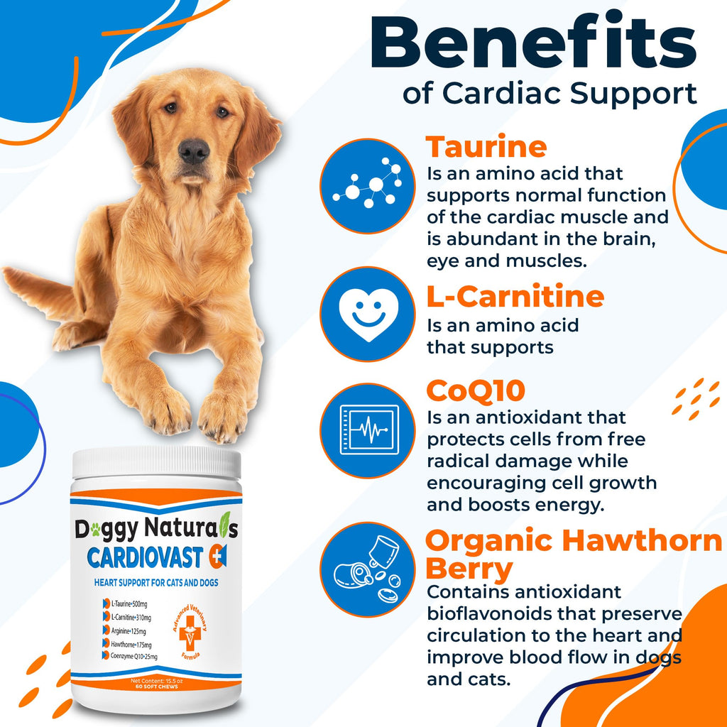 Cardio Support Supplement for Dogs and Cats, 60 Soft Chew U24413