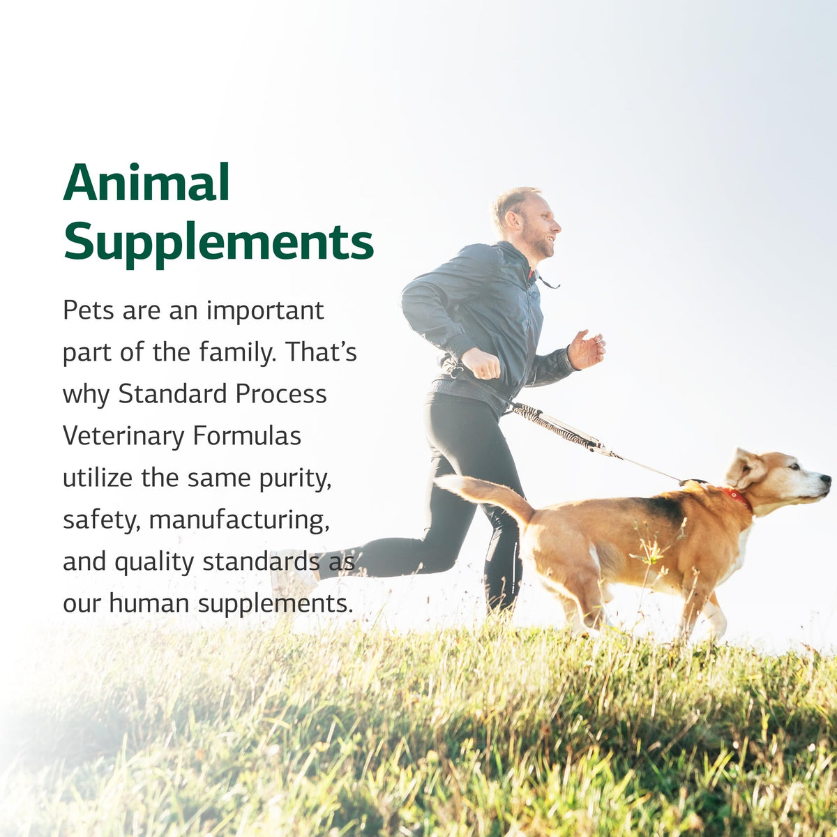 Canine Dermal Support 125 g Z7819
