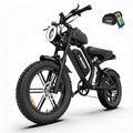 1500W Fat Tire Electric Bike J2059