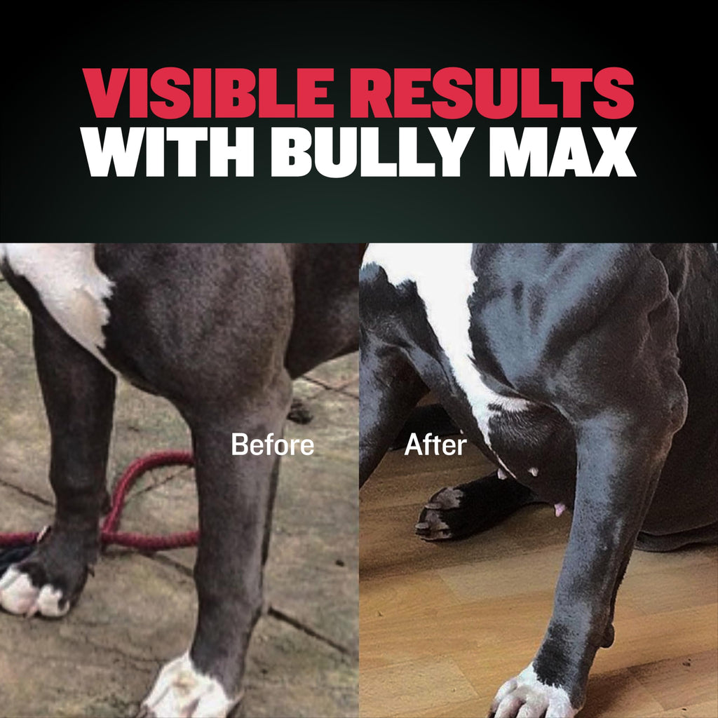 Dog Muscle & Weight Gain Liquid Bundle Y49830