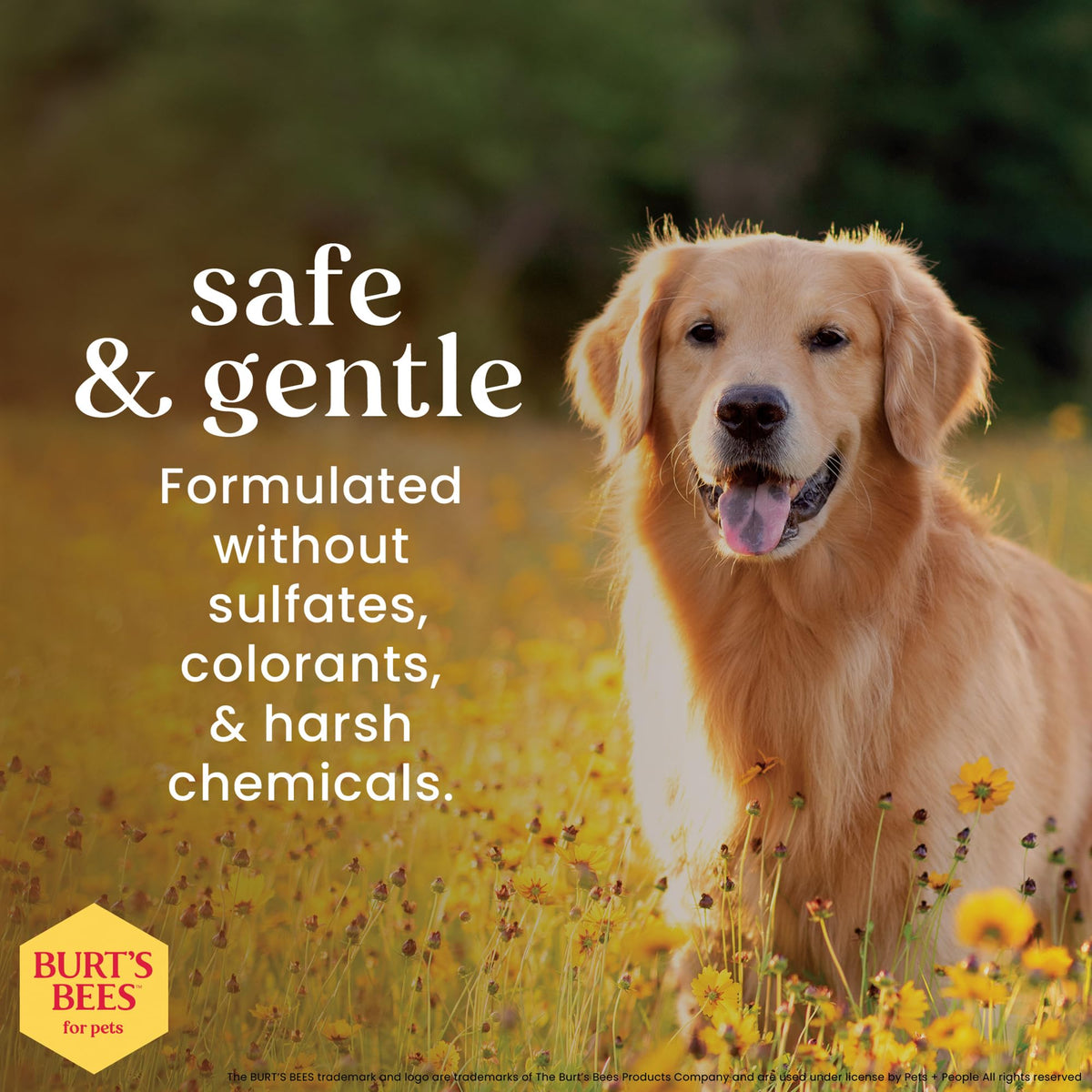 Honeysuckle Dog Shampoo 16 Fl Oz S807970
