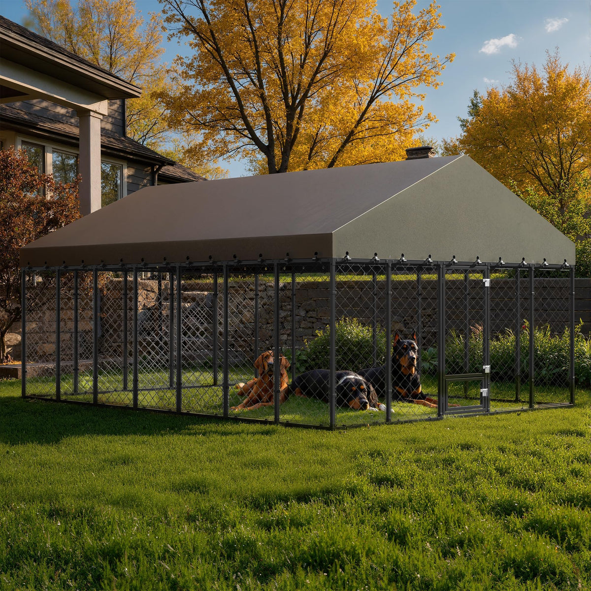 10x14FT Outdoor Dog Kennel with Roof T553